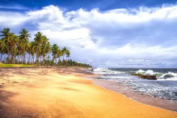 fun-things-negombo